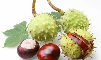 Chestnuts of the Varicosis of the lower extremities