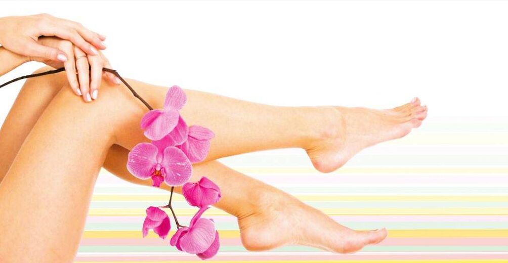 Healthy women's legs without varicose veins