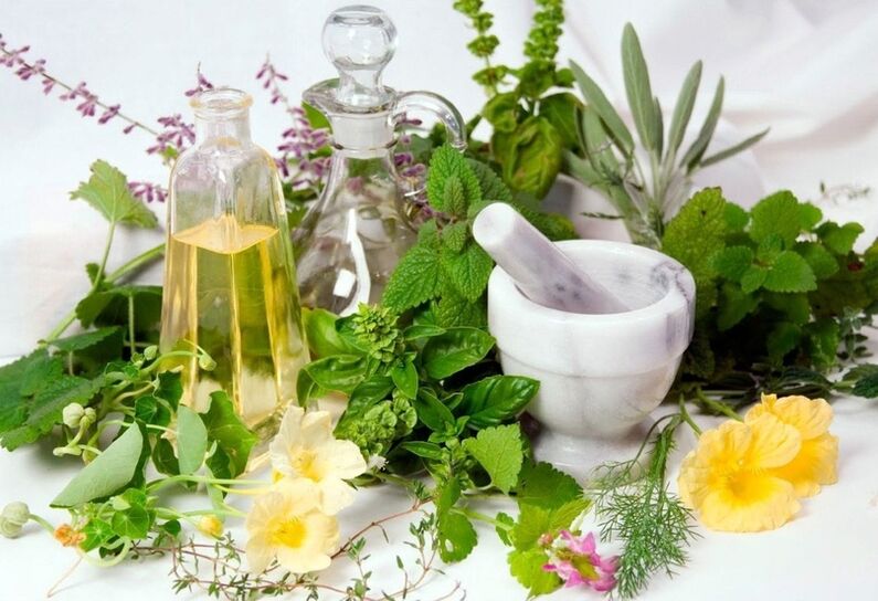 Various herbs for compresses for varicose veins